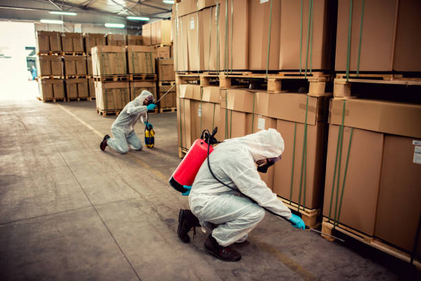Best Pest Prevention Services  in Grayson, KY