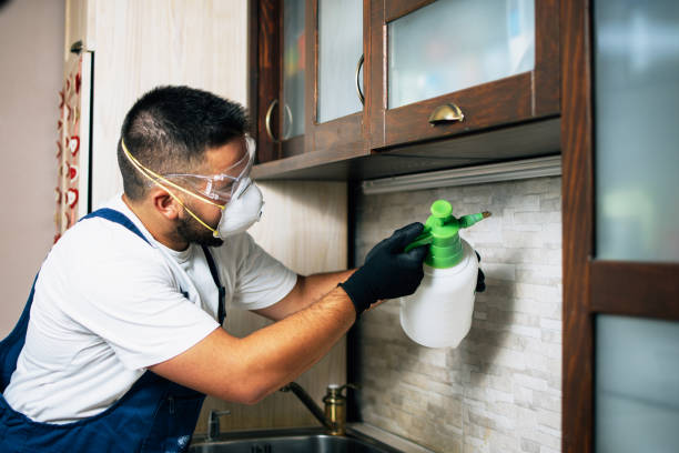 Best Emergency Pest Control  in Grayson, KY