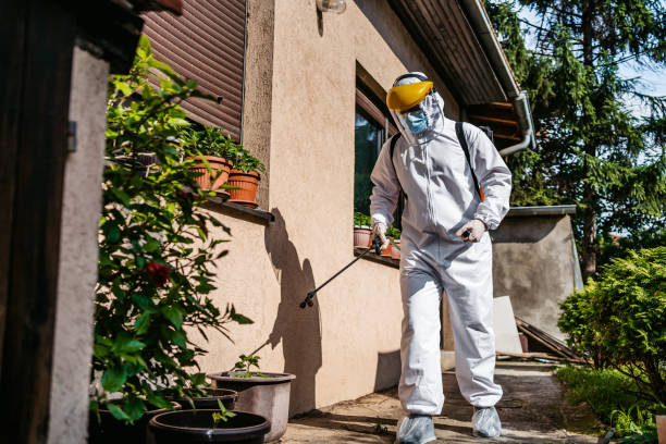 Best Insect Control  in Grayson, KY
