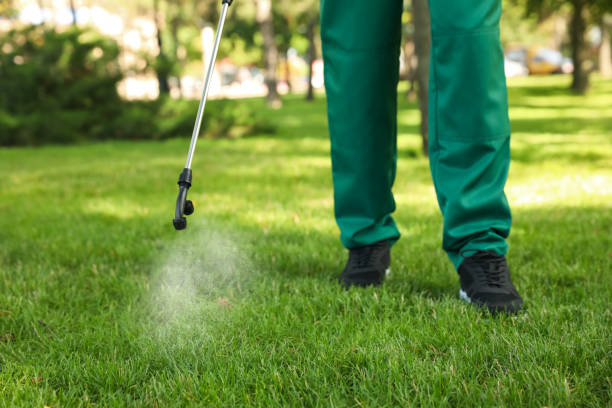 Best Pest Inspection Near Me  in Grayson, KY