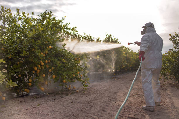 Best Mosquito Control Services  in Grayson, KY