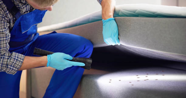 Best Pest Control for Restaurants  in Grayson, KY