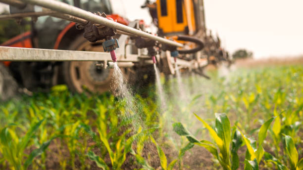 Best Best Pest Control Companies  in Grayson, KY